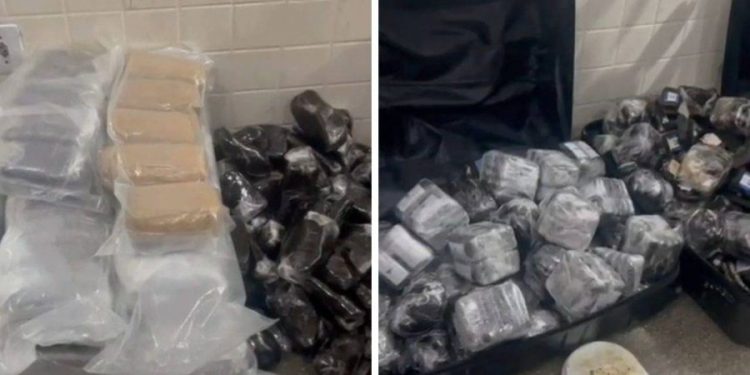 Polícia Militar apreende mais de 200 kg de haxixe em Lauro de Freitas