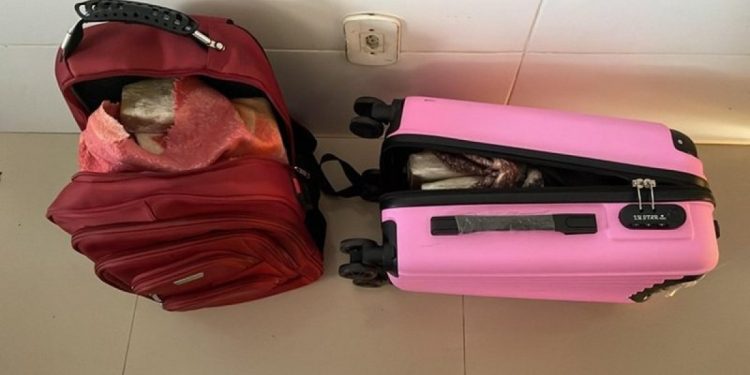 Mulher é presa em flagrante transportando 13 kg de maconha em ônibus na Bahia