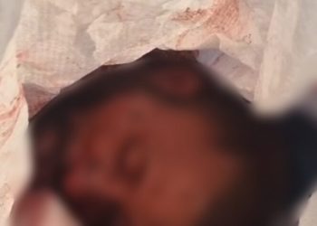 DE QUEM É?: C4beça de homem é encontrado no lixão dentro de saco no bairro de São Caetano