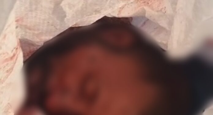 DE QUEM É?: C4beça de homem é encontrado no lixão dentro de saco no bairro de São Caetano