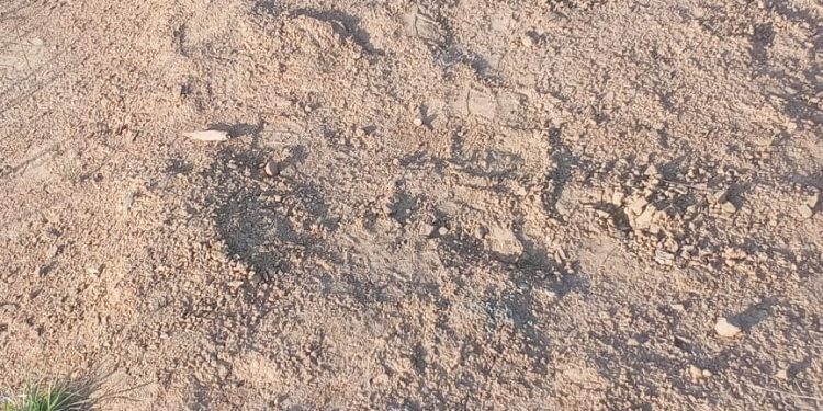 Homem é encontrado morto com marcas de tiro na cabeça em Candeias 