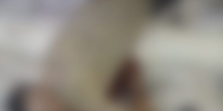 MORTO A TIROS: homem é assassinado no bairro Santo Antônio