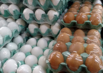 Preço dos ovos sobe até 40% no atacado e preocupa supermercados