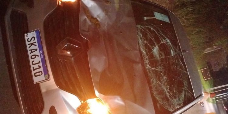 Carro bate de frente com cavalo na BA-522, em Candeias