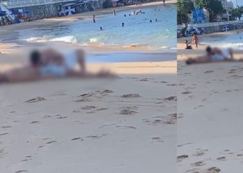 POUCA VERGONHA: homem pratica sexo oral em outro na areia da praia em plena luz do dia