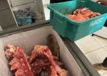 Dona de açougue clandestino é presa por desviar carne roubada em fazenda do interior baiano
