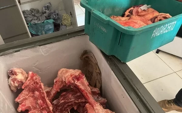 Dona de açougue clandestino é presa por desviar carne roubada em fazenda do interior baiano