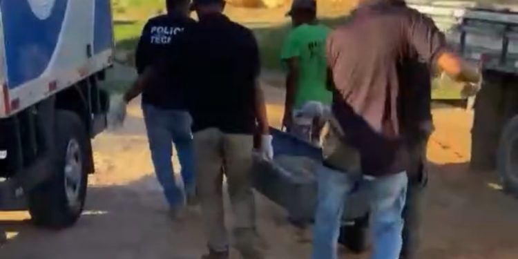 VIOLÊNCIA: corpo de homem é encontrado em matagal em Candeias