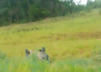 Dois acidentes foram registrados na rotatória da Avenida João Isidório neste domingo (23)