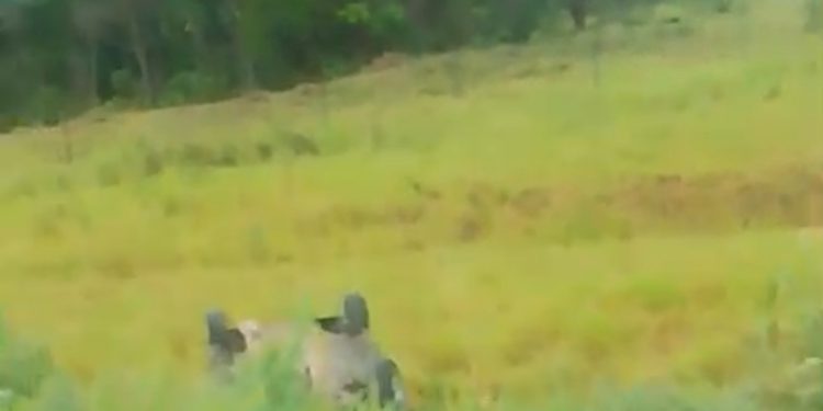 Dois acidentes foram registrados na rotatória da Avenida João Isidório neste domingo (23)