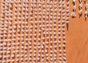 ‘Traficas’ dão no pé e deixam 300 pinos de cocaína pra trás no interior da Bahia