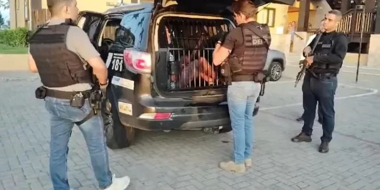 Barão do Jogo do Bicho é preso em mansão na Praia do Forte