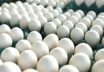 Vilão! Ovo sobe 12,05% em março na Região Metropolitana de Salvador