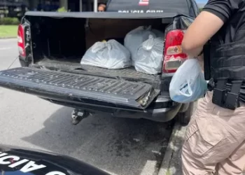 Fim da linha! Polícia acaba com esquema de consórcio falso em Salvador