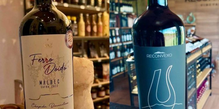 Vinhos de Morro do Chapéu são eleitos os melhores da Bahia e brilham em premiação nacional
