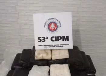 Carga de cocaína avaliada em R$ 1,5 milhão aparece em praia de Sauípe