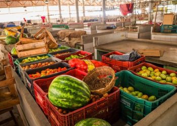 Candeias: Vendedores de hortifrúti do Centro de Abastecimento são convocados para atualização cadastral