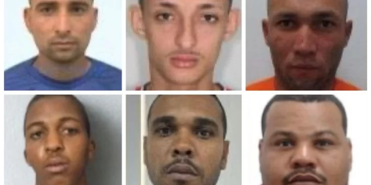MAIS SEIS CABEÇAS: baralho do crime da SSP é atualizado com novos nomes de alta periculosidade