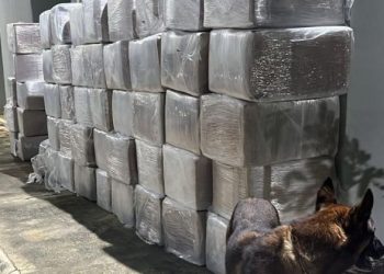 Homem é preso com seis toneladas de maconha em caminhão no sudoeste da Bahia