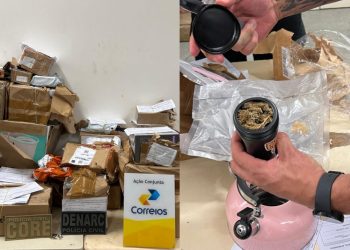 Mais de 50 encomendas com drogas são apreendidas em centro dos Correios em Simões Filho
