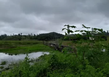 PEIXES MORTOS E SUBSTÂNCIA OLEOSA: Acelen é suspeita de crime ambiental em barragem de São Francisco do Conde