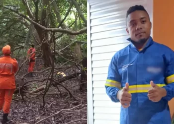 Resgate sem fim: homem permanece no topo de árvore após 40 horas