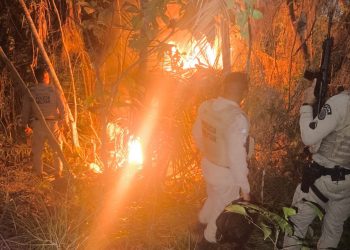 Ação do PETO no Caípe termina com confronto, prisão e desmonte de acampamento do tráfico