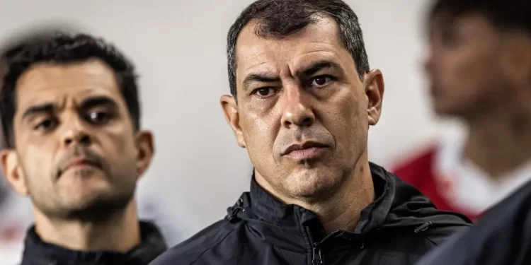 Quem é Fábio Carille? Conheça a trajetória do novo técnico do Vitória