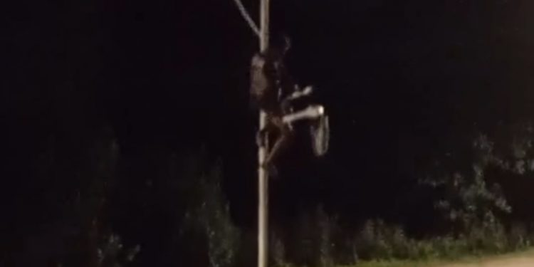 HOMEM-ARANHA DE CANDEIAS: Homem é flagrado pendurado em poste enquanto arranca fiação