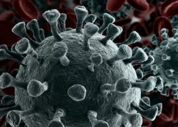 Alerta! Brasil registra casos da nova variante da covid-19