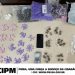 “Domingo sem fumaça: mulher com carga de drogas é presa pelo PETO em Candeias”