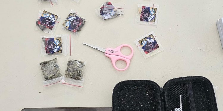 BOIOU O PETO PEGOU: Vulgo Jacaré é preso com drogas em Candeias