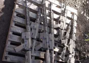 Sete fuzis são apreendidos em operação na zona rural de Porto Seguro