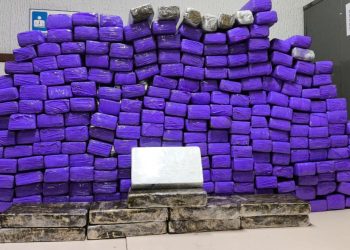 BAQUE PESADO: van de turismo é flagrada transportando 260 kg de drogas no Interior da Bahia