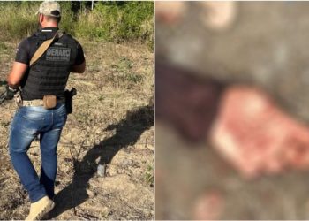 PORTO SEGURO:Jovem de 18 anos sai de casa para ‘festa paredão’ e corpo é encontrado sem cabeça; dedos também foram arrancados