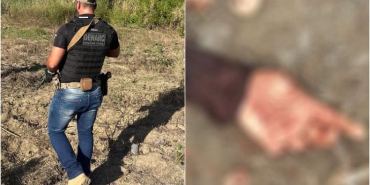 PORTO SEGURO:Jovem de 18 anos sai de casa para ‘festa paredão’ e corpo é encontrado sem cabeça; dedos também foram arrancados