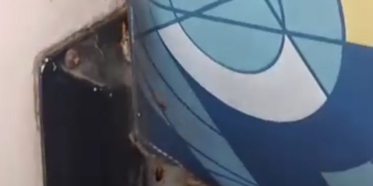 CANDEIAS: Passageiros filmam enxame de baratas dentro de ônibus da Avanço