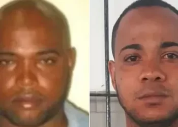 Conheça ‘pombos sujos’ desligados pela polícia no Planeta dos Macacos