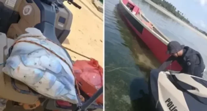 Quatro homens são presos por pesca ilegal com bomba em Madre de Deus