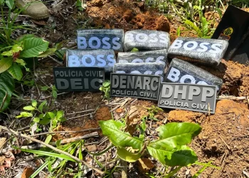 COCAÍNA BOSS: Polícia Civil encontra drogas enterradas por traficantes do BDM em Madre de Deus
