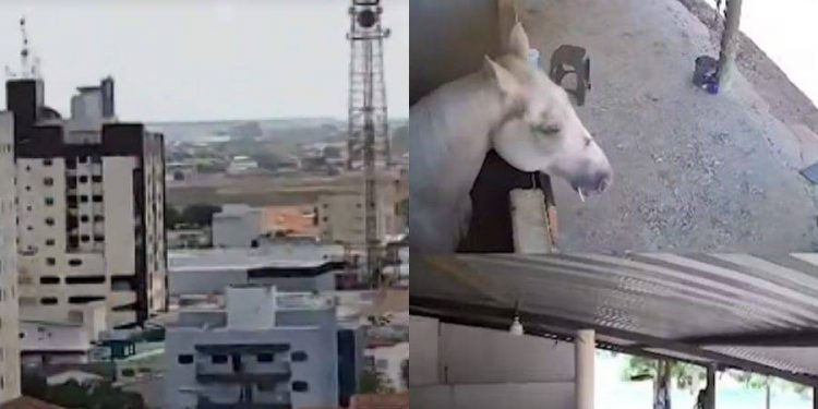 Tremor de terra é registrado por câmeras no interior da Bahia