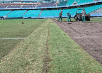 TAPETE NOVO: plantio de gramado da Arena Fonte Nova foi finalizado; campo estará pronto para jogo contra o Grêmio
