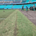 TAPETE NOVO: plantio de gramado da Arena Fonte Nova foi finalizado; campo estará pronto para jogo contra o Grêmio