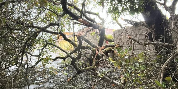 Bahia é atingida por mais de 73 mil raios em 48 horas; Neoenergia Coelba triplica o efetivo em campo