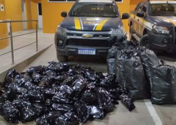 PRF apreende mais de 100 quilos de maconha na BR-324, em Simões Filho