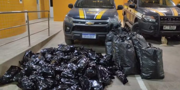 PRF apreende mais de 100 quilos de maconha na BR-324, em Simões Filho