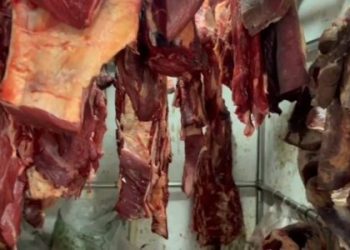 Polícia desmonta esquema de abate clandestino e roubo de gado em Sebastião do Passé