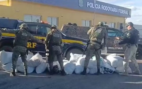 PRF apreende mais de meia tonelada de maconha em rodovia baiana