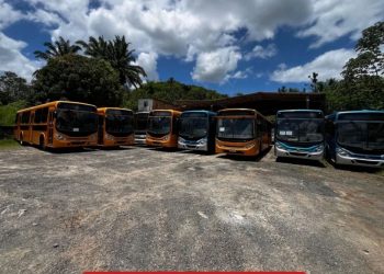 SFC: Sem transporte, cidade amanhecerá em colapso total; Calote de Calmon repercute no Brasil 
