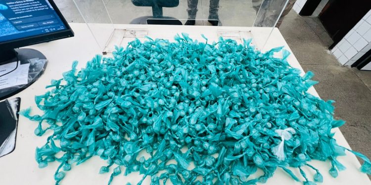 TRÁFICO FRUSTRADO EM CANDEIAS: CETO ENCONTRA GRANDE QUANTIDADE DE CRACK ENTERRADA EM ZONA DE MATA